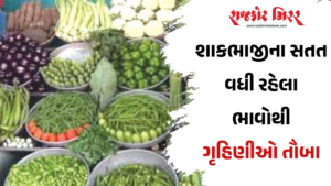 શાકભાજીના સતત વધી રહેલા  ભાવોથી ગૃહિણીઓ તૌબા તૌબા