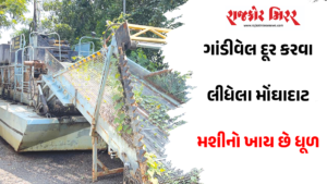 ગાંડીવેલ દૂર કરવા લીધેલા મોંઘાદાટ મશીનો ખાય છે ધૂળ