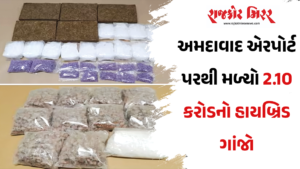 અમદાવાદ એરપોર્ટ પરથી મળ્યો 2.10 કરોડનો હાયબ્રિડ ગાંજો