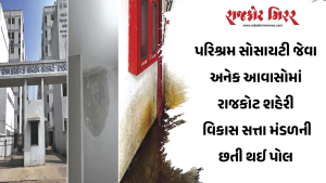 ઢીલીનીતિ+ગેરરીતિ=પ્રજા દુ:ખી