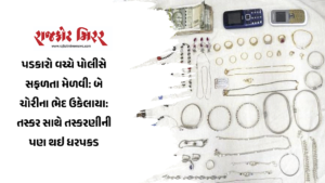 પડકારો વચ્ચે પોલીસે સફળતા મેળવી: બે ચોરીના ભેદ ઉકેલાયા: તસ્કર સાથે તસ્કરણીની પણ થઇ ધરપકડ