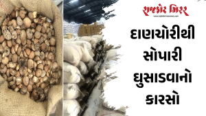 દાણચોરીથી સોપારી ઘુસાડવાનો કારસો