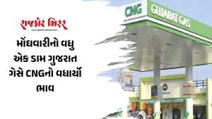 મોંઘવારીનો વધુ એક ડામ ગુજરાત ગેસે CNGનો વધાર્યો ભાવ