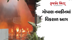 ગોપાલ નમકીનમાં વિકરાળ આગ