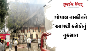 ગોપાલ નમકીનને આગથી કરોડોનું નુકસાન