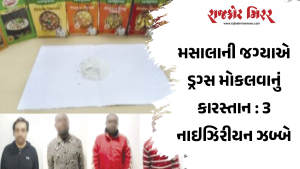 મસાલાની જગ્યાએ ડ્રગ્સ મોકલવાનું કારસ્તાન : 3 નાઇઝિરીયન ઝબ્બે