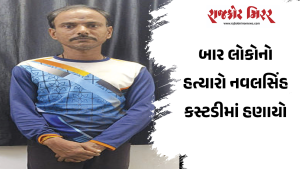 બાર લોકોનો હત્યારો નવલસિંહ કસ્ટડીમાં હણાયો