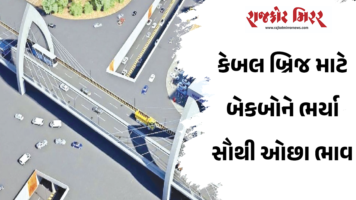 કેબલ બ્રિજ માટે બેકબોને ભર્યા સૌથી ઓછા ભાવ