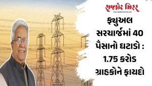 ફ્યુઅલ સરચાર્જમાં 40 પૈસાનો ઘટાડો : 1.75 કરોડ ગ્રાહકોને ફાયદો