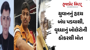 યુવાનનું હૃદય બંધ પડવાથી, વૃધ્ધાનું બોલેરોની ઠોકરથી મોત