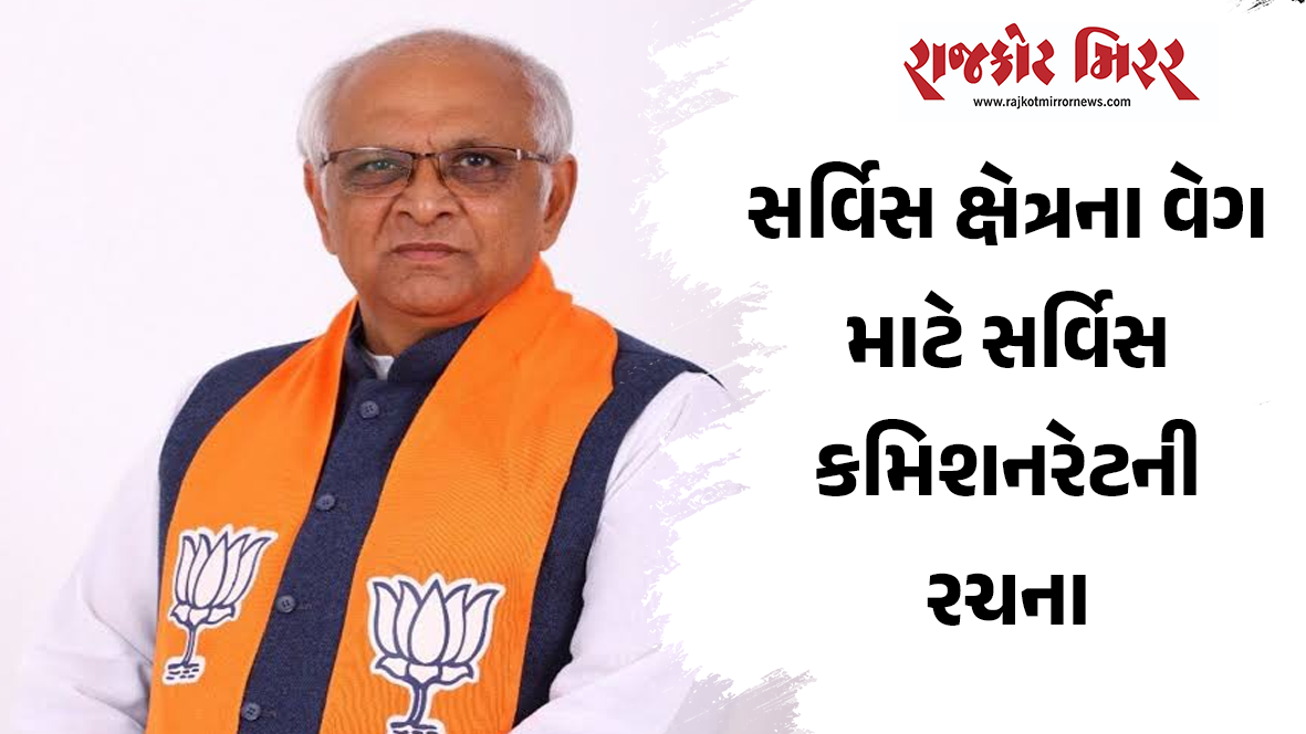 સર્વિસ ક્ષેત્રના વેગ માટે સર્વિસ કમિશનરેટની રચના