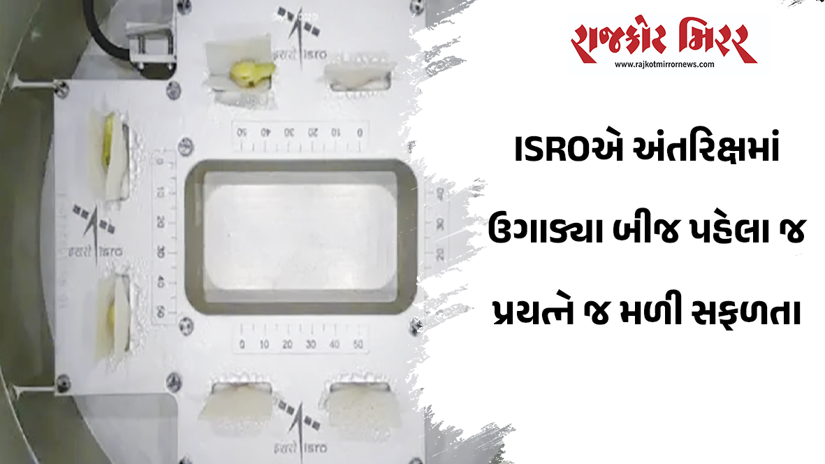 ISROએ અંતરિક્ષમાં ઉગાડ્યા બીજ પહેલા જ પ્રયત્ને જ મળી સફળતા