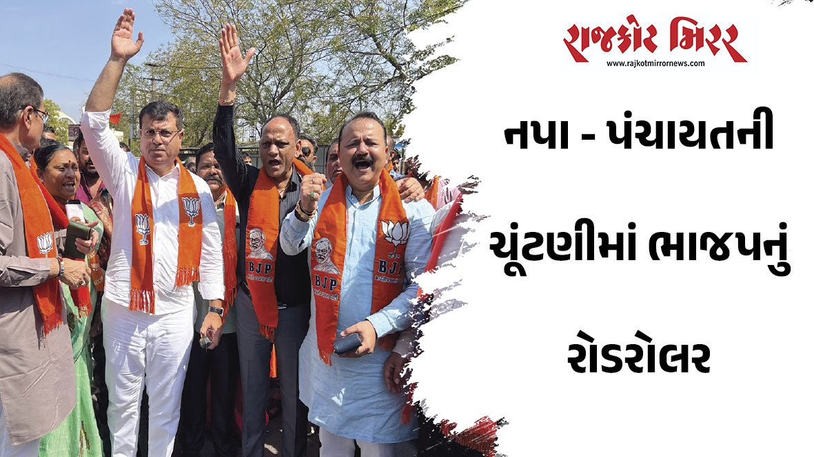 નપા – પંચાયતની ચૂંટણીમાં ભાજપનું રોડરોલર
