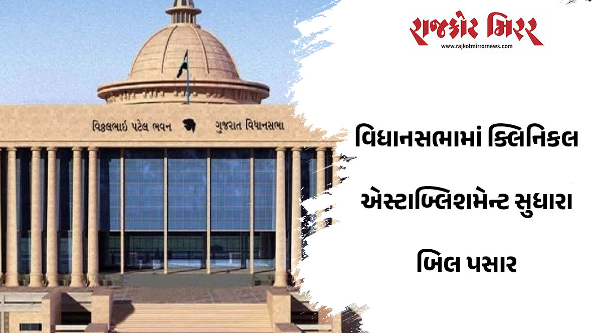 વિધાનસભામાં ક્લિનિકલ એસ્ટાબ્લિશમેન્ટ સુધારા બિલ પસાર