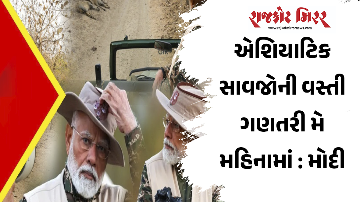 એશિયાટિક સાવજોની વસ્તી ગણતરી મે મહિનામાં : મોદી