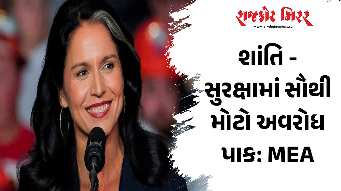 શાંતિ – સુરક્ષામાં સૌથી મોટો અવરોધ પાક: MEA