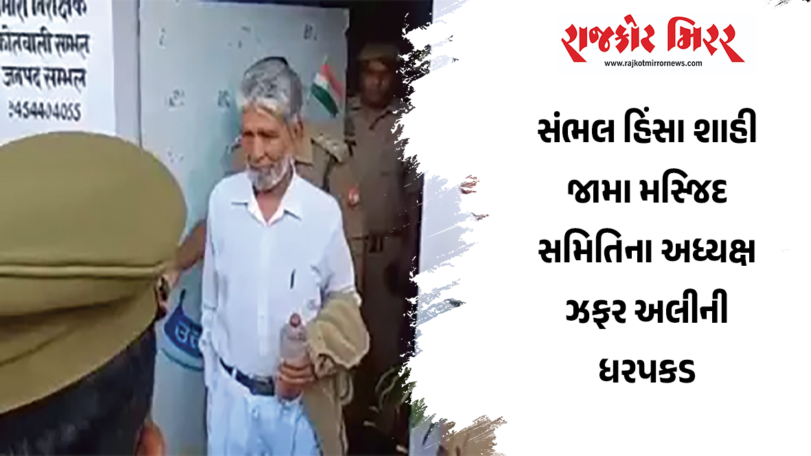 સંભલ હિંસા શાહી જામા મસ્જિદ સમિતિના અધ્યક્ષ ઝફર અલીની ધરપકડ